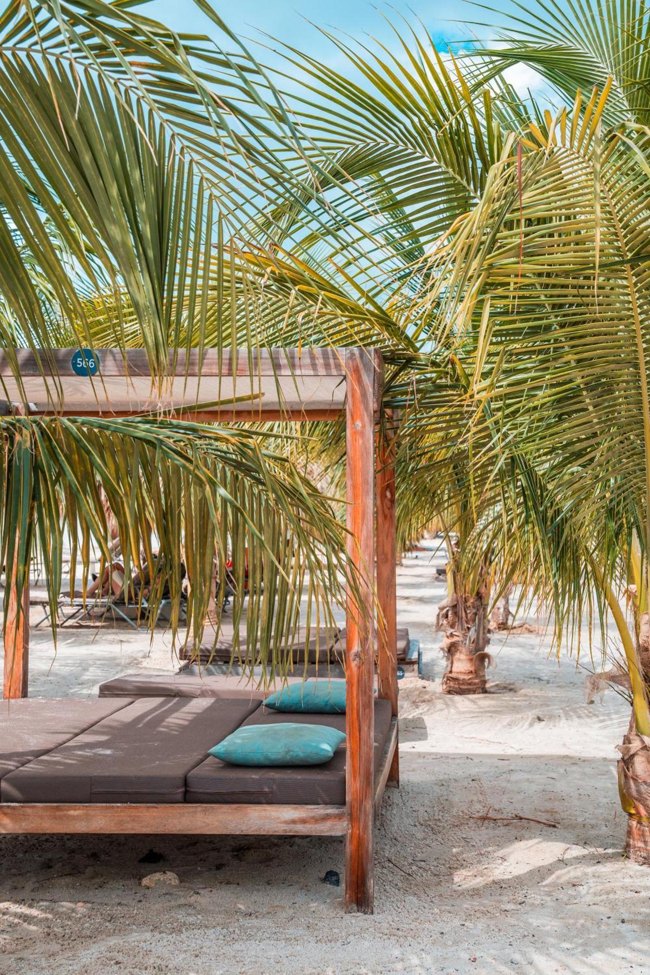 Chogogo Dive & Beach Resort Bonaire Playa Exteriör bild